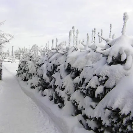 Διαμέρισμα Forest Escape With Garden, Cleaning Included Neustadt am Rennsteig